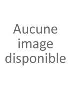 Nos Services de Transport